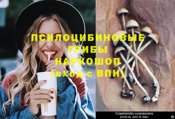 марки lsd Балабаново