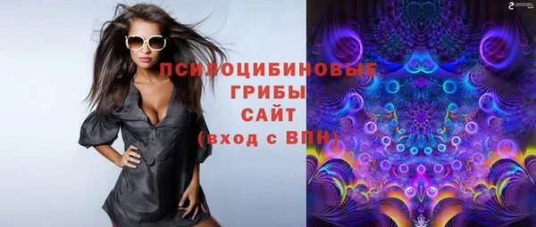 мяу мяу мука Баксан