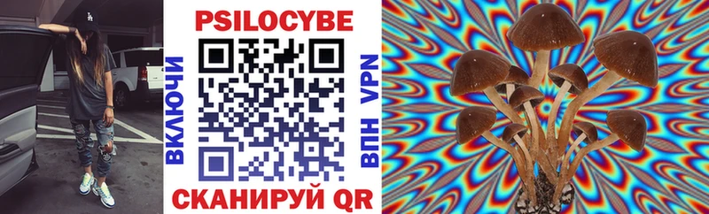 Псилоцибиновые грибы MAGIC MUSHROOMS  цена наркотик  Губаха 